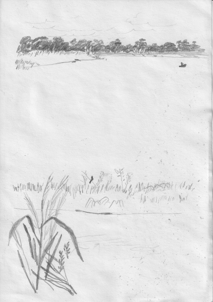 Amazonia Sketches